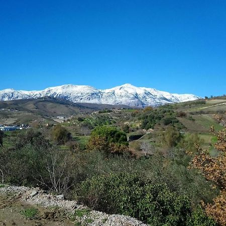 Agios Thomas  Villa Axenti מראה חיצוני תמונה