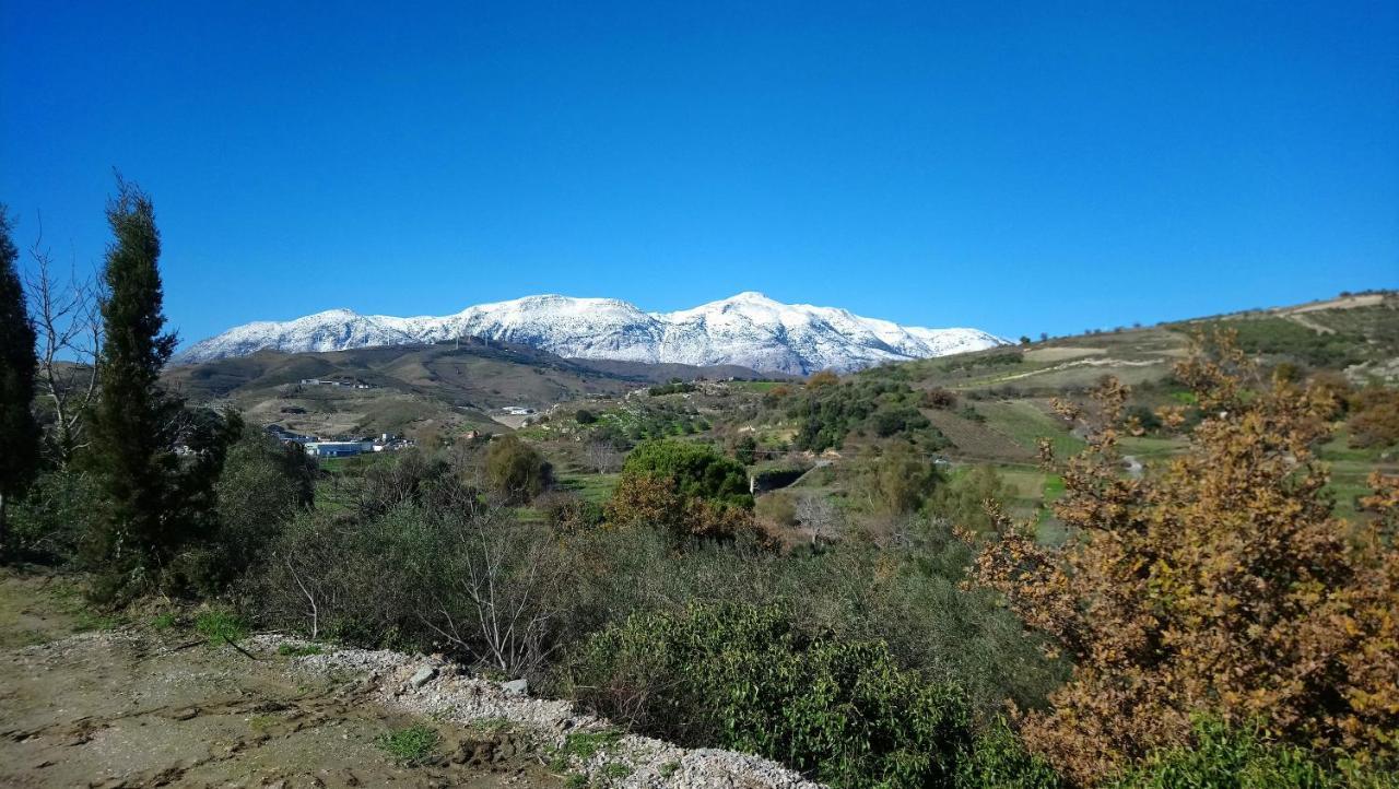 Agios Thomas  Villa Axenti מראה חיצוני תמונה