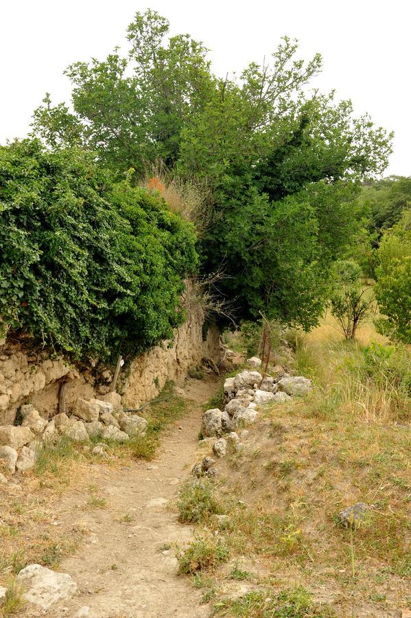 Agios Thomas  Villa Axenti מראה חיצוני תמונה